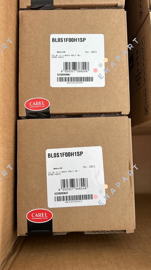 BL0S1F00H1SP cylinder