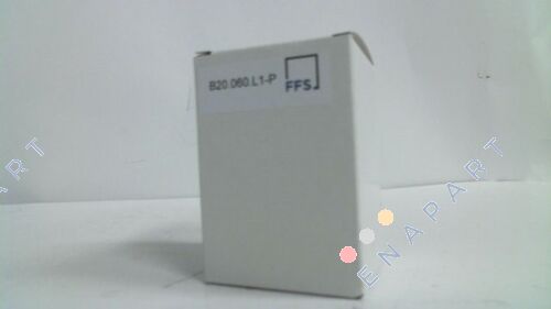FE B20.060.L1-P filter element