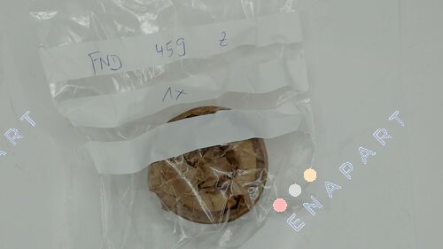 19FND459Z - FND 459 Z Complete Freewheel Clutch Unit