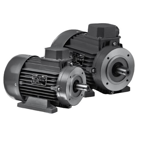 STANDARD EFFICIENCY THREE-PHASE MOTORS – IE1