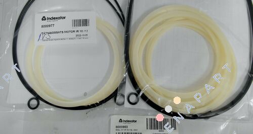 8000983 gasket set