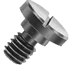 Lock Screws