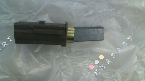 10005187 Carbon brush