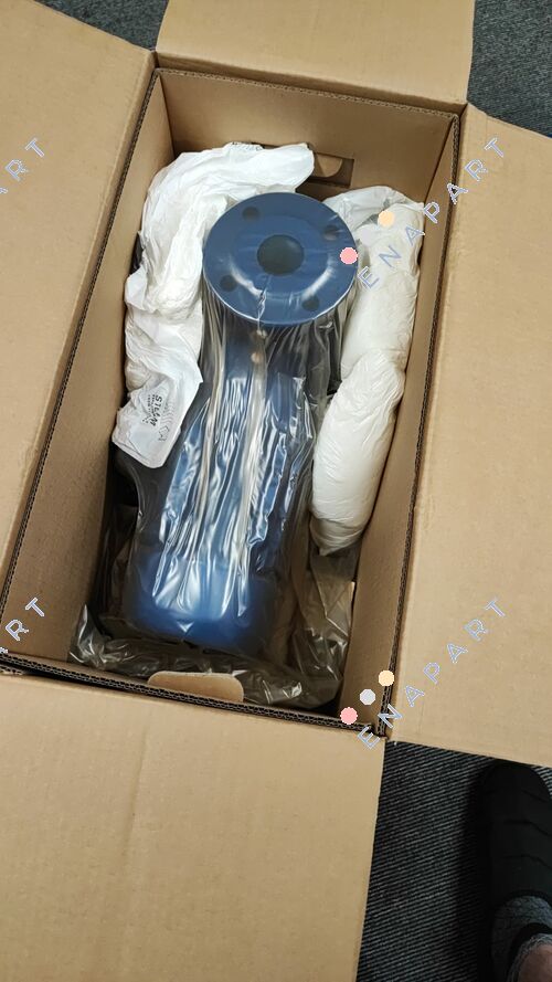 LNEE 50-125/30/P25RCS4 Single head pump
