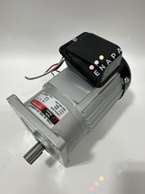 J220L16-200-18-A(A001)-G1 Gear motor