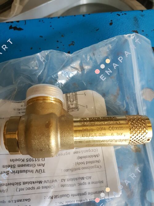 D10/CS Safety relief valve (PRV)