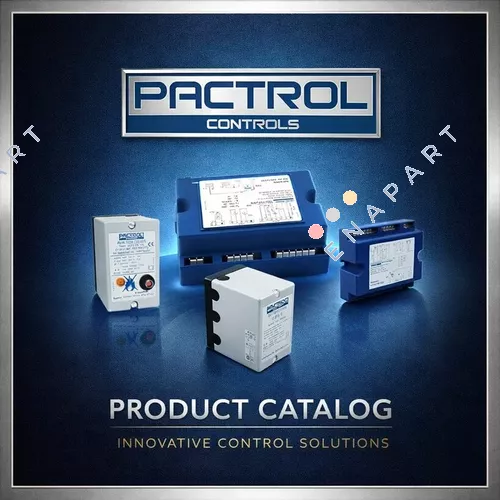 190065 Combustion control unit