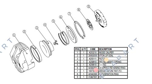 999-800-0135 Piston Spring
