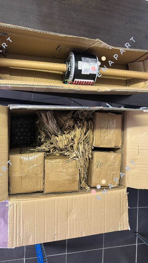 48-4-100/6DSL Double Shaft Motor