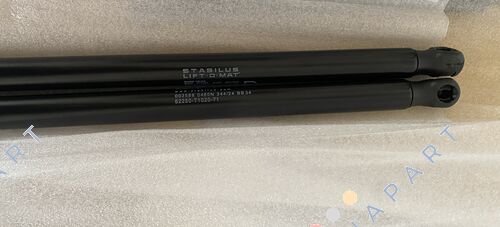 002588 Gas spring