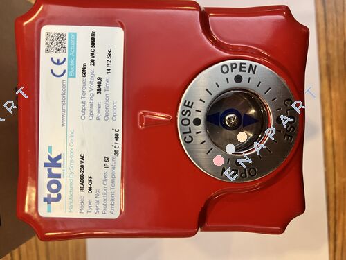 REA-60-220VAC / E10009300 electric motor