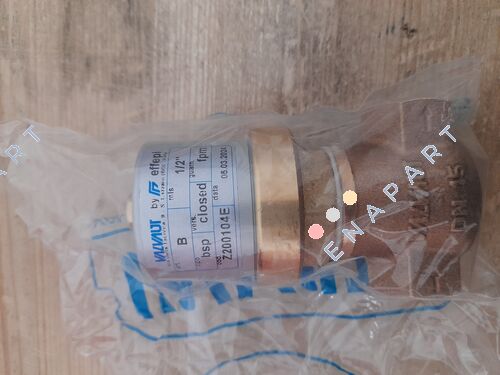 Z200104E Buffer valve