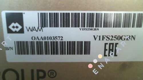 V1FS250GBN throttle valve