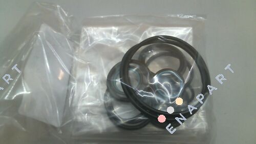 DS000061 repair kit for WL5-P10-W-4 Gasket set for directional control valve